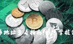 tpWallet持币地址查看指南：快速掌握你的资产安全