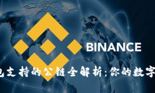 2023年TP钱包支持的公链全解析：你的数字资产最佳选择