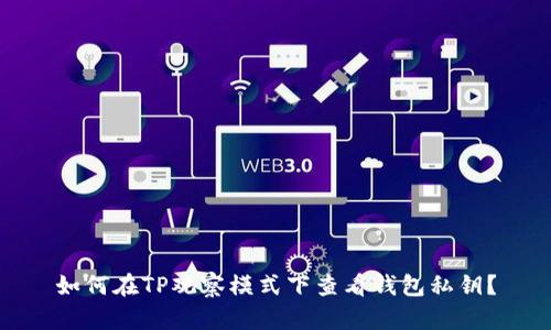 如何在TP观察模式下查看钱包私钥？