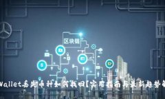 tpWallet丢失币种如何找回？实用指南与最新趋势解