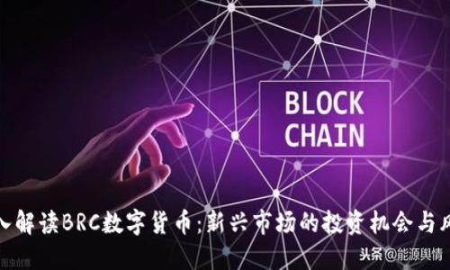 深入解读BRC数字货币：新兴市场的投资机会与风险