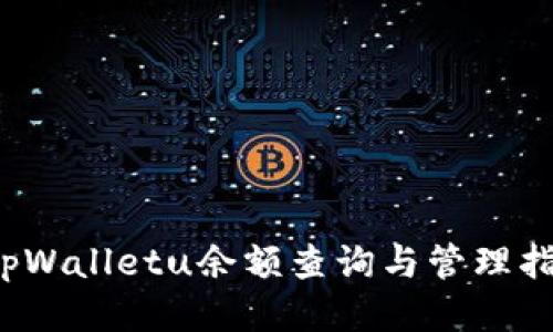  tpWalletu余额查询与管理指南