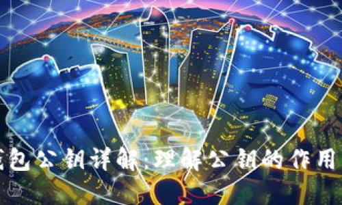 以太坊钱包公钥详解：理解公钥的作用与安全性