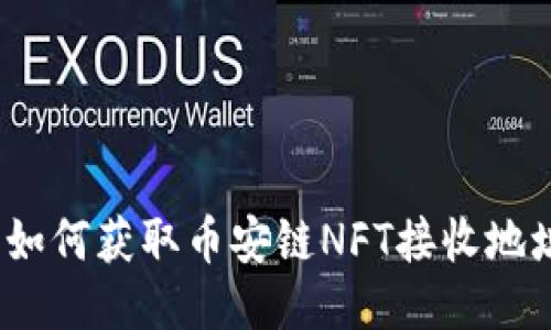 TP钱包：如何获取币安链NFT接收地址全指南