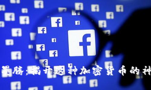 尼古拉墨腾：揭开这种加密货币的神秘面纱