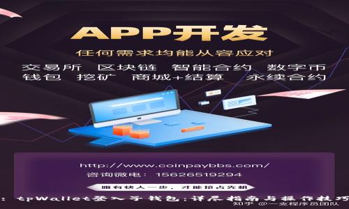 : tpWallet登入子钱包：详尽指南与操作技巧