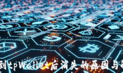 pig币转到tpWallet后消失的原因与解决方法