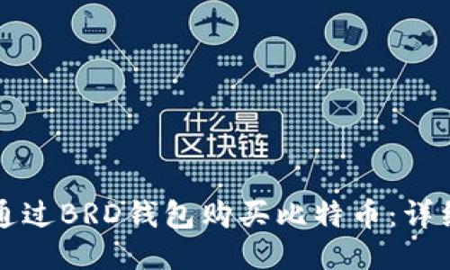 如何通过BRD钱包购买比特币：详细指南