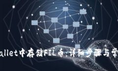 如何在tpWallet中存储FIL币：详细步骤与常见问题解
