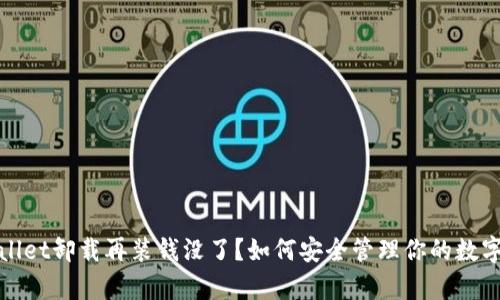 tpWallet卸载再装钱没了？如何安全管理你的数字钱包