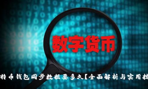 比特币钱包同步数据要多久？全面解析与实用技巧