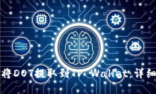 如何将DOT提取到TP Wallet：详细指南