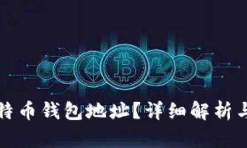 什么是比特币钱包地址？详细解析与使用指南