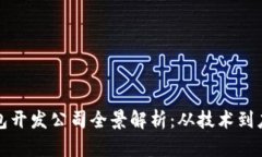 安徽区块链钱包开发公司全景解析：从技术到应